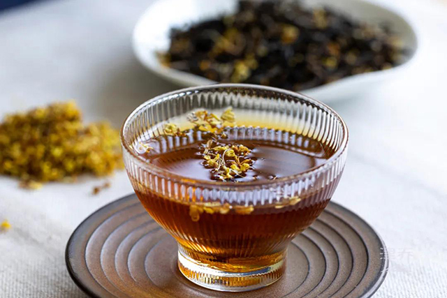 津乔普洱茶