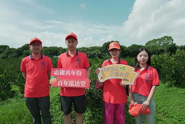 泓达堂新会陈皮