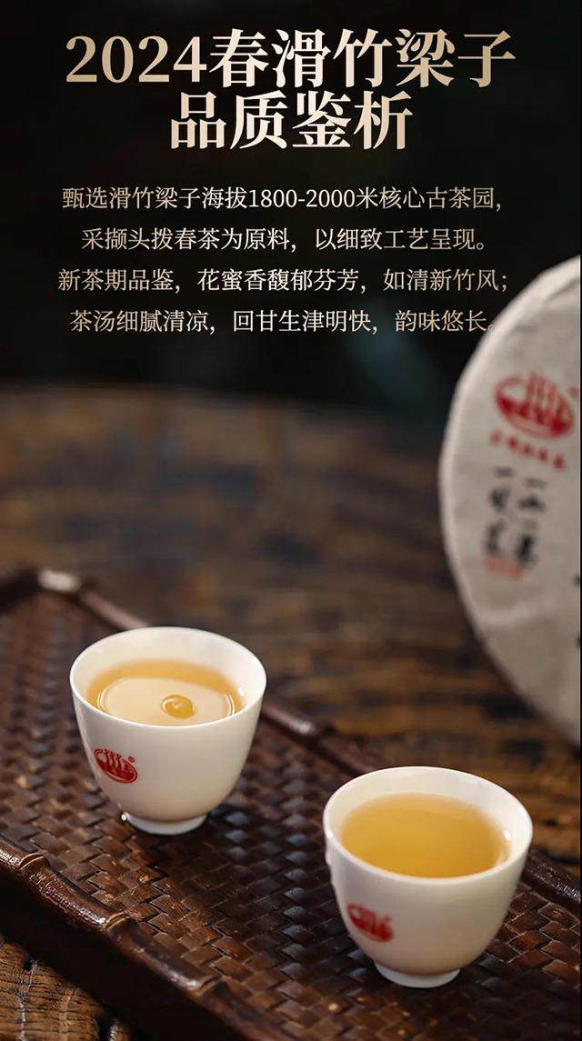 芒嘎拉滑竹梁子普洱茶品质特点