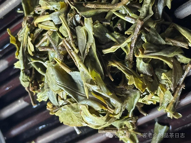 小树盲品对冲茶会