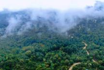 28张美图，带你走进大益茶源高山云雾生态秘境