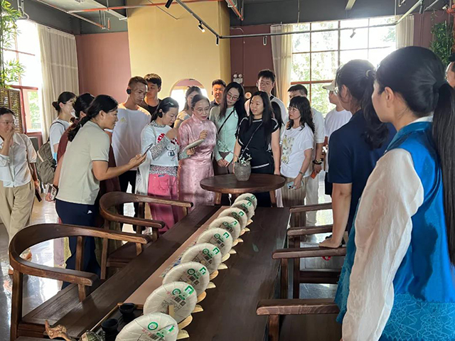 浙江大学茶学专业高级研修班走进六大茶山贺开庄园