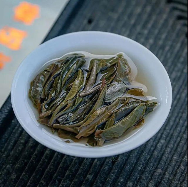 中茶景迈古树小饼时代普洱茶
