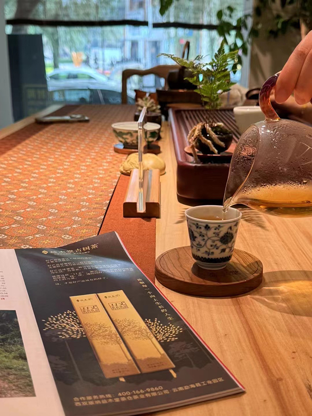 暖暖说茶