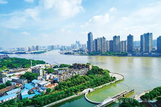 普洱杂志