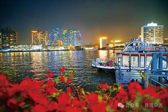 普洱杂志