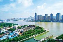 普洱杂志：芳村为什么是中国茶的“华尔街”？