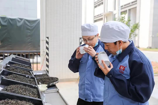 大益茶勐海茶厂