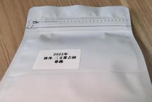 茶商交流——2023年倚邦·三岔箐古树单株（公主茶铺）