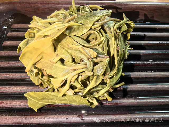 小树茶对冲茶会
