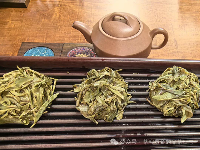 小树茶对冲茶会