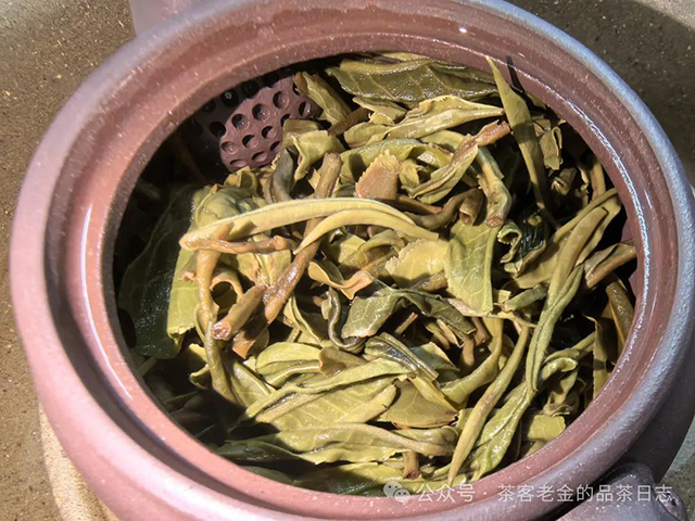 2023年倚邦古树普洱茶品质特点