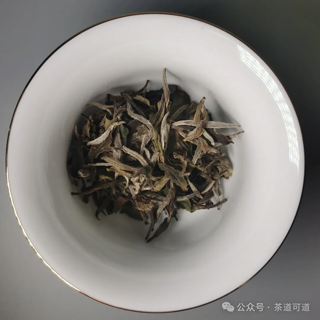 2016旭隆昇荒野白牡丹品质特点