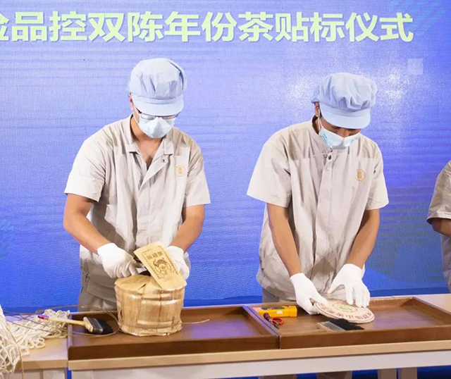 年份普洱茶