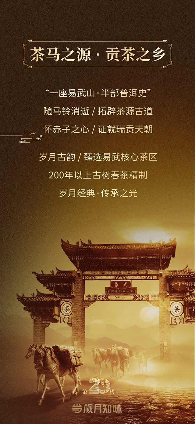岁月知味2024岁月古韵普洱茶品质特点