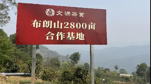 兴茶网