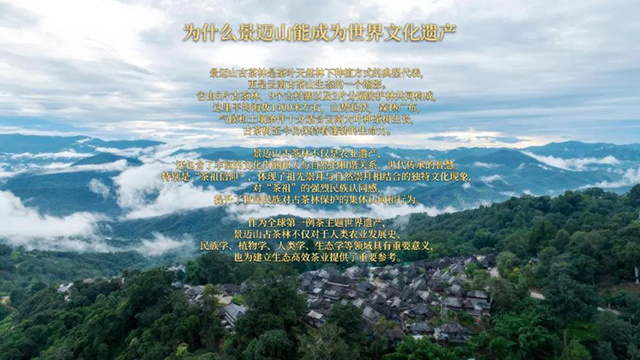 益木堂古树茶