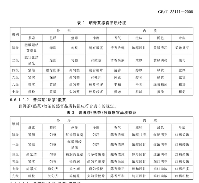 小杨带你快速学懂喝茶感受