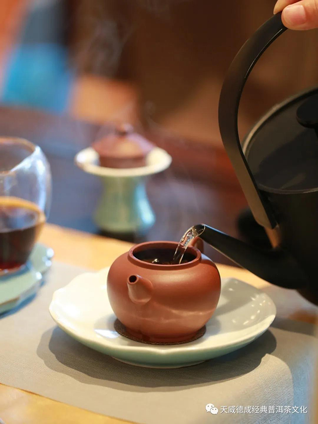 天威德成经典普洱茶文化