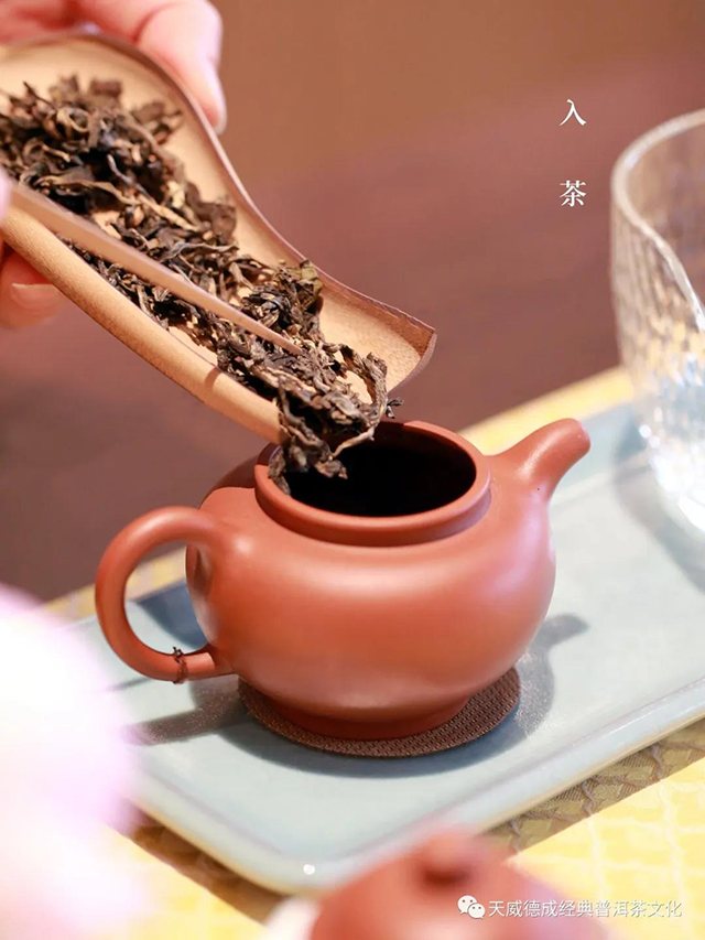 天威德成经典普洱茶文化