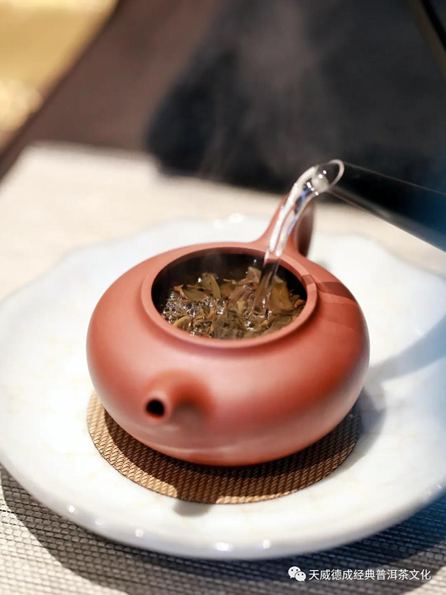 天威德成经典普洱茶文化