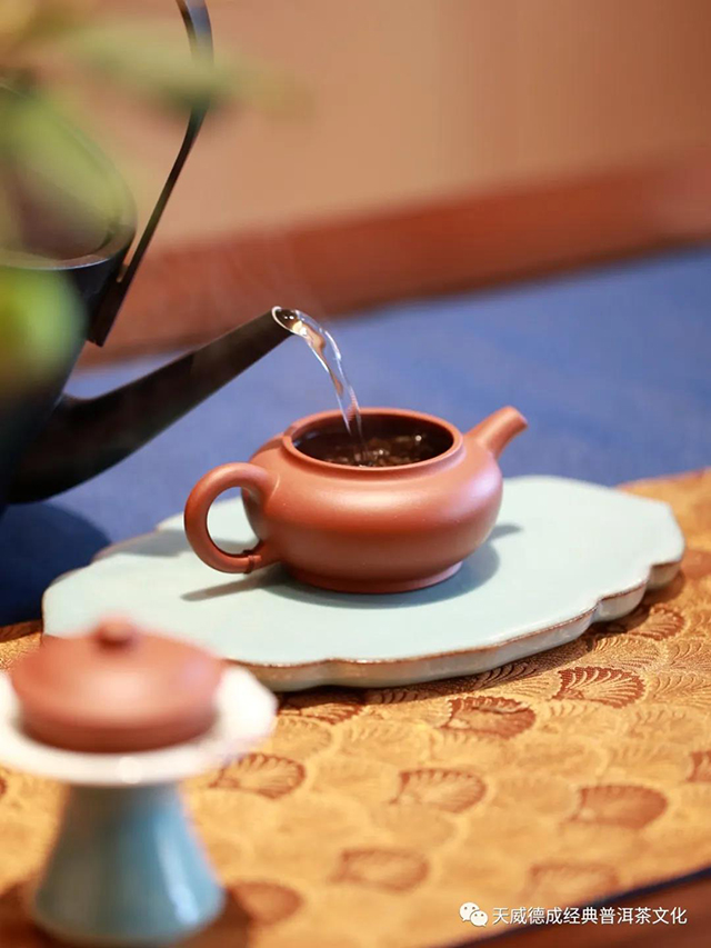 天威德成经典普洱茶文化