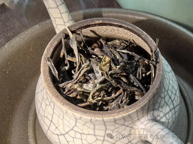 栩月古茶2024年易武泰极普洱茶品质特点