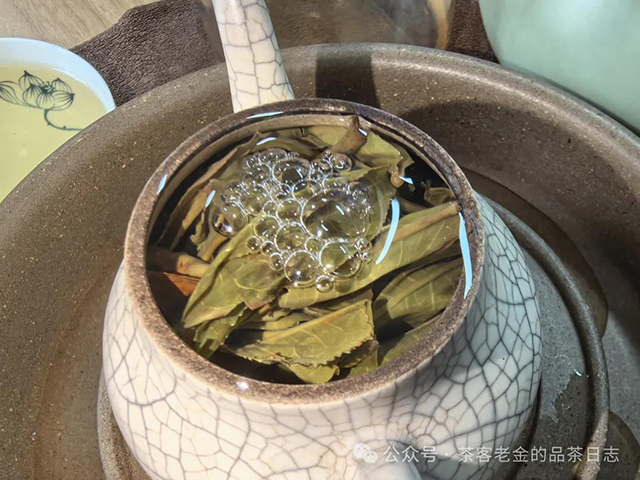 栩月古茶2024年易武泰极普洱茶品质特点