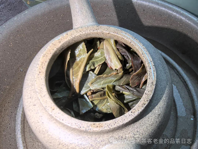 2024年易武凤凰窝普洱茶品质特点