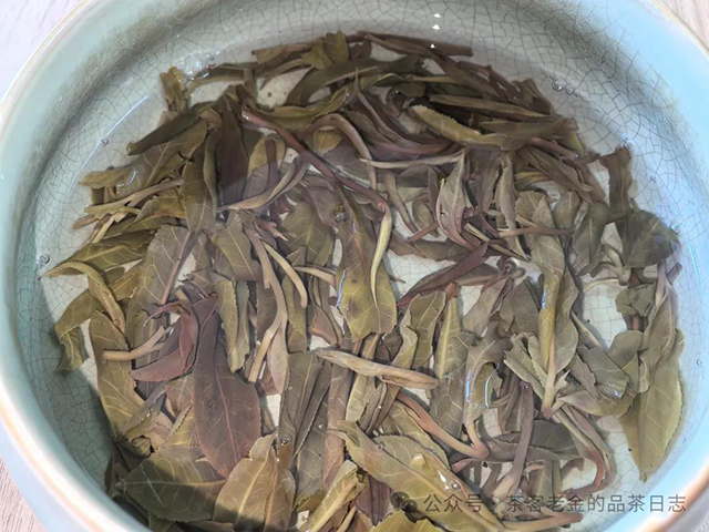 2024年易武凤凰窝普洱茶品质特点