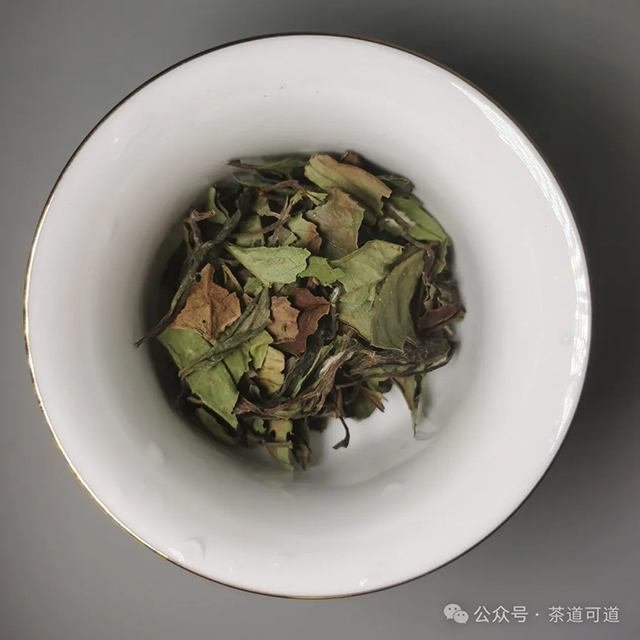 绿雪芽2020年的传家宝寿眉75克小罐装品质特点