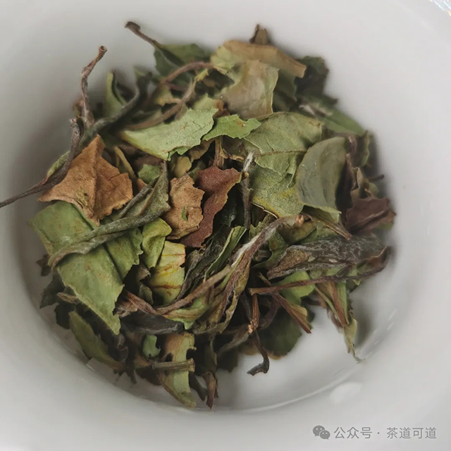 绿雪芽2020年的传家宝寿眉75克小罐装品质特点