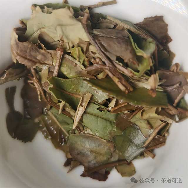 绿雪芽2020年的传家宝寿眉75克小罐装品质特点