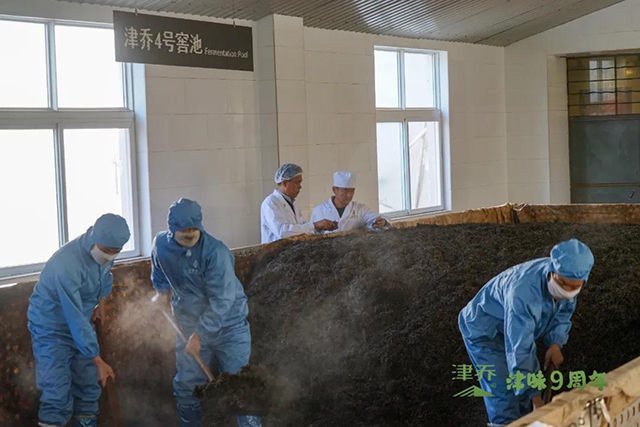 津乔普洱津味小青柑