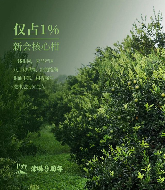 津乔普洱津味小青柑
