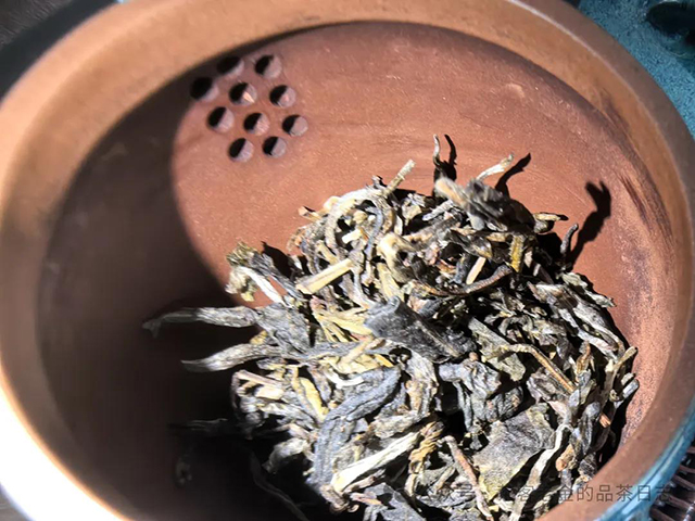 南木茶堂2024年花样年华普洱茶品质特点