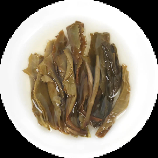中茶早春臻品普洱茶