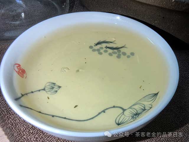 流星赶月普洱茶2024年凤凰窝高杆品质