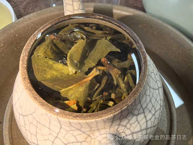 流星赶月普洱茶2024年凤凰窝高杆品质