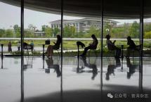 普洱杂志：冰岛|老寨新颜，不改冰糖韵