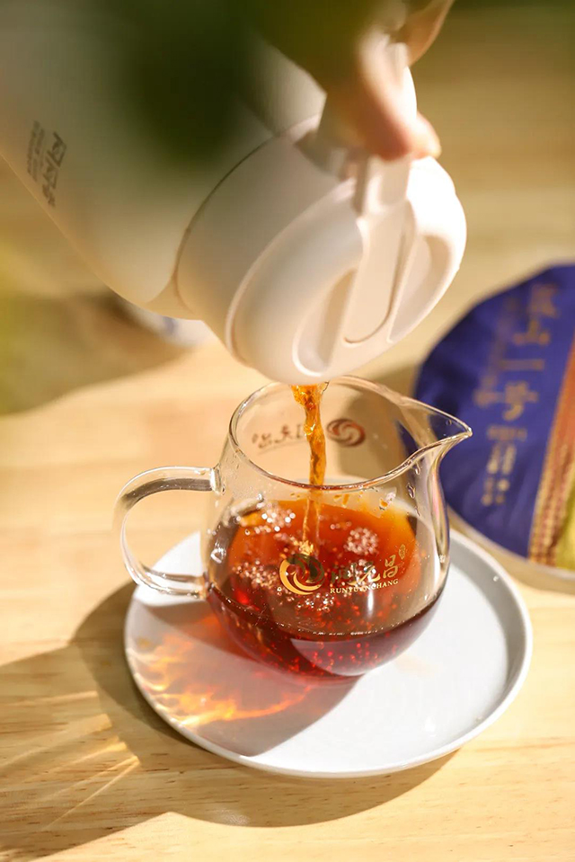 润元昌蓝山一号熟茶品鉴会
