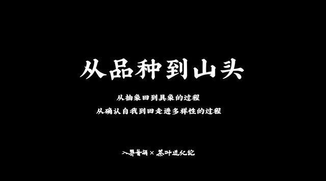 茶叶进化论