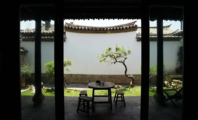 普洱杂志