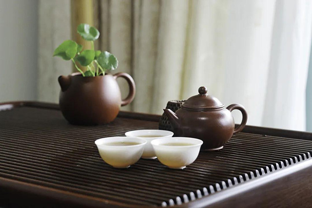普洱杂志