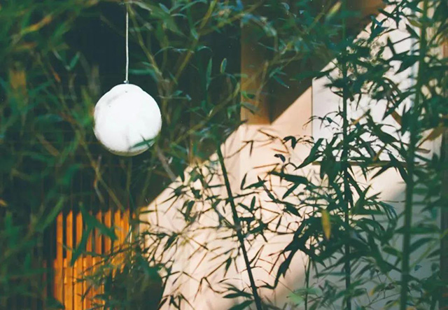 普洱杂志