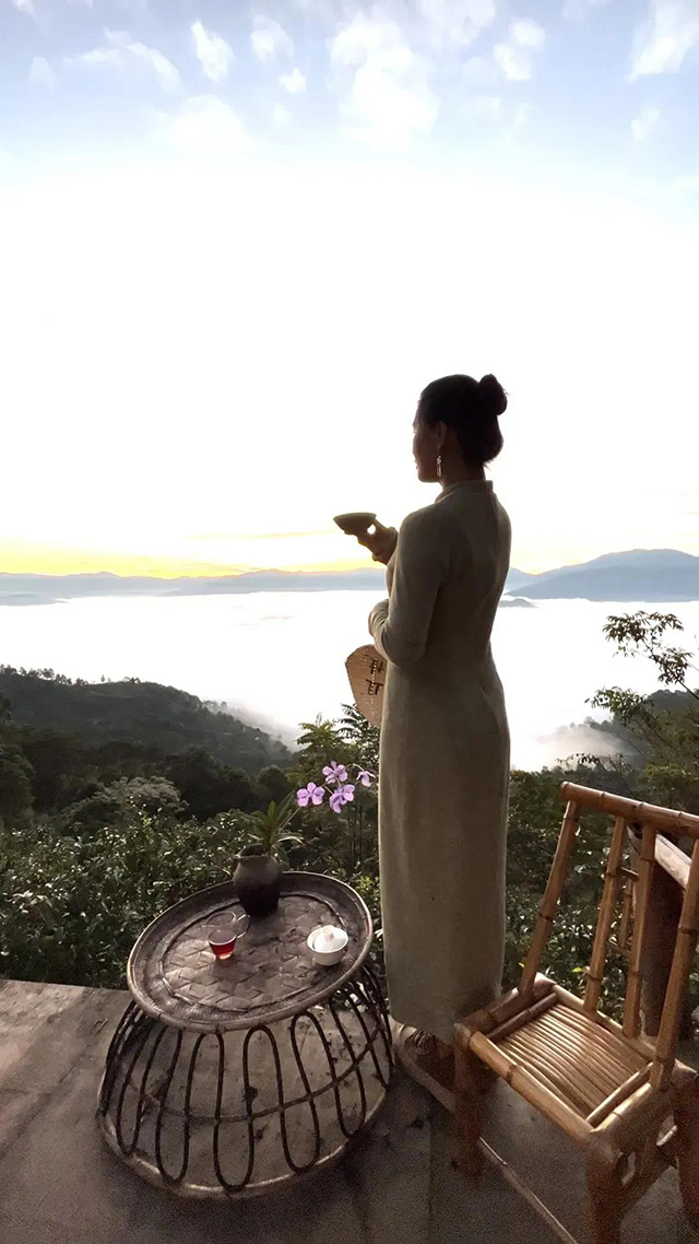 普洱杂志