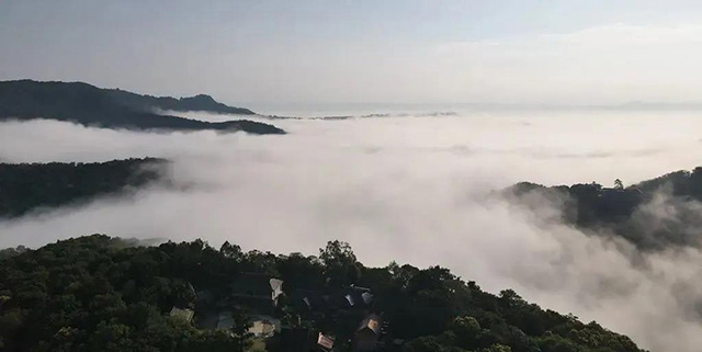 普洱杂志