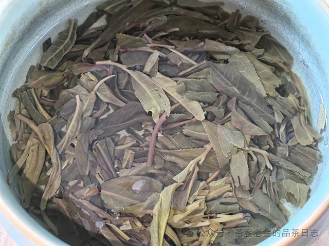 吾茶共饮2024年江湖合道普洱茶