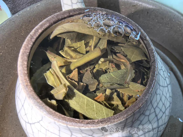 吾茶共饮2024年江湖合道普洱茶