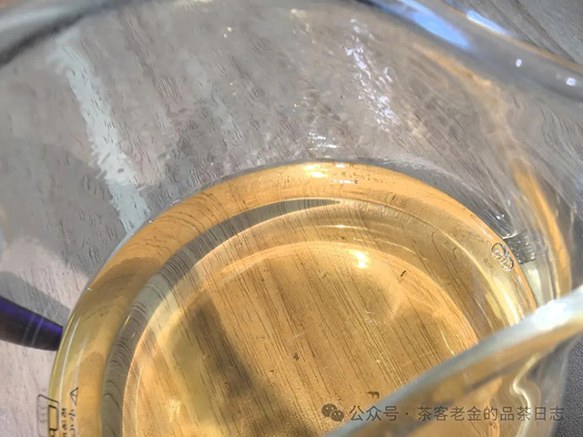 吾茶共饮2024年江湖合道普洱茶